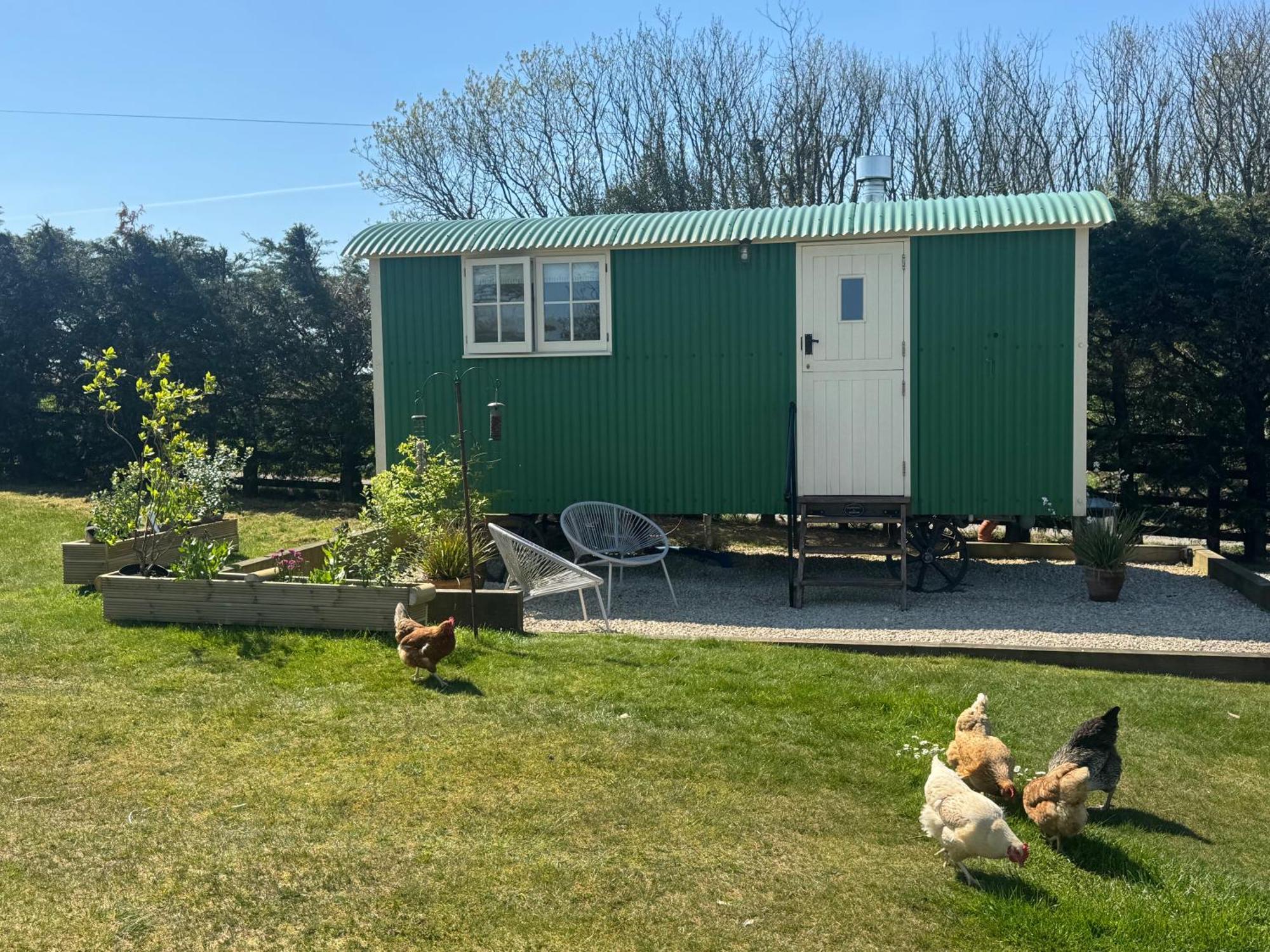 Toms Hut And Robins Rest Shepherd Huts Near Wadebridge Luaran gambar
